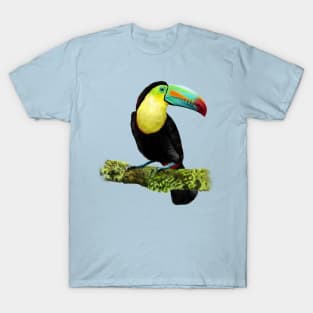 Hand drawn of Toucan bird. T-Shirt